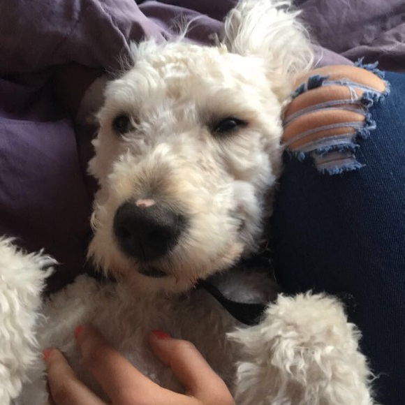 Welcome to my page, feel free to make offers 💙 - Picture 4 of 6